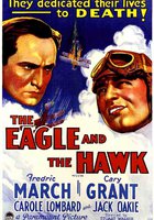 Орел и сокол