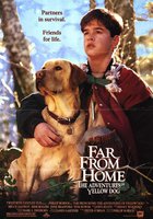 Далеко от дома: Приключения желтого пса