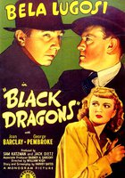 Черные драконы