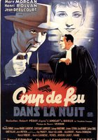 Coup de feu dans la nuit