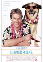 Летняя школа