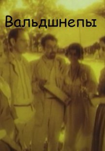 Вальдшнепы