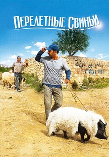 Перелетные свиньи