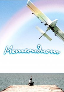 Метеоидиот