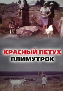 Красный петух плимутрок