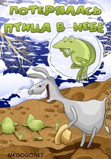 Потерялась птица в небе