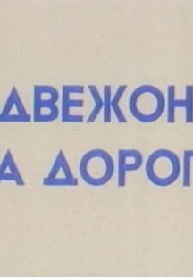 Медвежонок на дороге