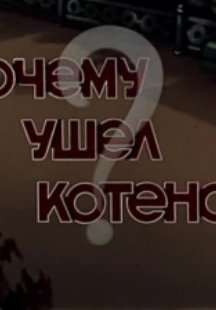 Почему ушел котенок