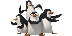 Пингвинам «Мадагаскара» посвятят полнометражку Пингвинам «Мадагаскара» посвятят полнометражку