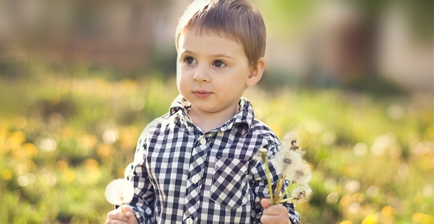 Вино из одуванчиков