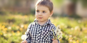 Кино из одуванчиков Кино из одуванчиков