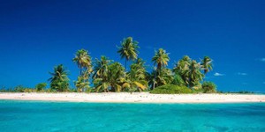 Голливудский режиссёр-неудачник сбежал на необитаймый остров Голливудский режиссёр-неудачник сбежал на необитаймый остров