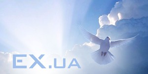 EX.UA вернулся на просторы интернета