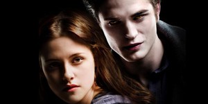 Постановщица «Сумерек» снимет эротический триллер