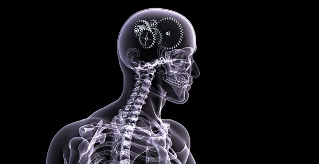 человек-робот