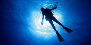 Кэмерон нашел режиссера для фильма о дайверах