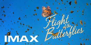 В кинотеатрах IMAX запорхают бабочки