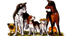 Домашние животные спасут людей от сверхъестественных существ