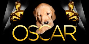 Щенки предсказали победителя на «Оскаре» Щенки предсказали победителя на «Оскаре»