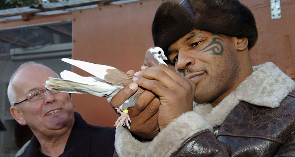 Майк Тайсон