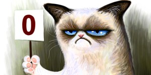 В Голливуде снимут фильм о самом сердитом коте в мире