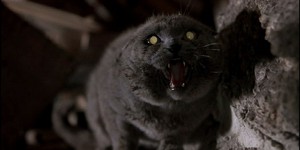 «Кладбище домашних животных» и «Семейку Аддамс» перезагрузят