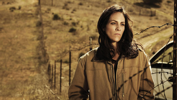 Аннабет Гиш в сериале "Мост"