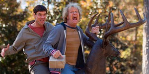 Вышел первый трейлер к «Тупому и еще тупее 2»