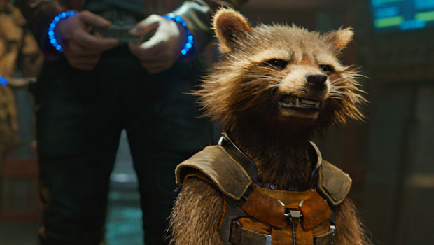 Енот Ракета