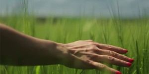 Украинский фильм «Данина» претендует на «Скифского оленя»