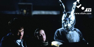 Кролик на Хэллоуин: «Донни Дарко» - завтра в «ПроКИНОнаНЛО»