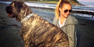 У фильма «Хатико» появится конкурент