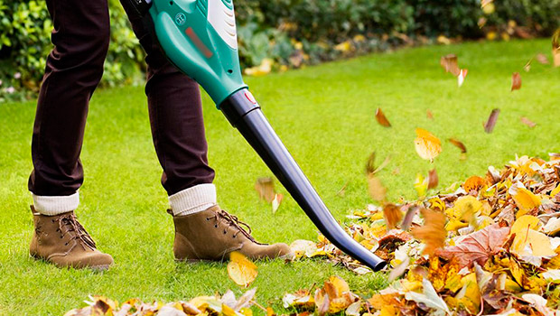 как выглядит садовый пылесос