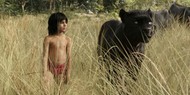 Маугли и компьютерный Шерхан: первый трейлер новой «Книги джунглей»