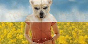 В Украине пройдет фестиваль «Новое немецкое кино»