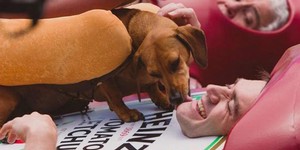 В Киеве покажут самую дорогую рекламу 2016 года В Киеве покажут самую дорогую рекламу 2016 года