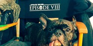 Восьмой эпизод «Звездных войн» получил рабочее название
