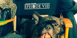 Восьмой эпизод «Звездных войн» получил рабочее название Восьмой эпизод «Звездных войн» получил рабочее название