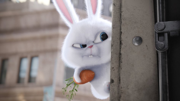 кадр из мультфильма "Тайная жизнь домашних животных"