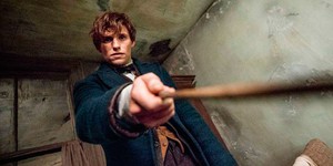 «Фантастические звери и места их обитания 2» получили дату релиза