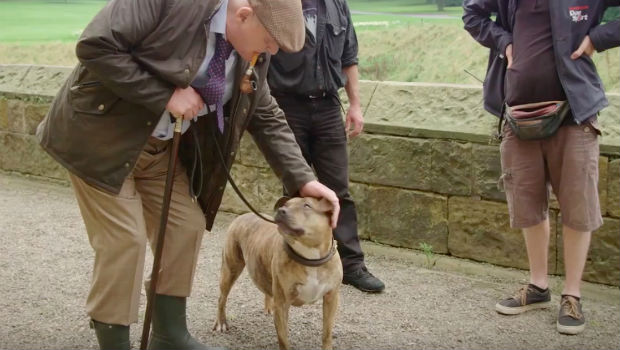 Энтони Хопкинс и собака Фрейя