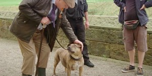 В «Трансформерах 5» снялась самая одинокая собака в мире