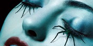 «Американская история ужасов» продлена на 7 сезон «Американская история ужасов» продлена на 7 сезон