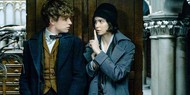 «Фантастические звери» выльются в пять фильмов, а не три