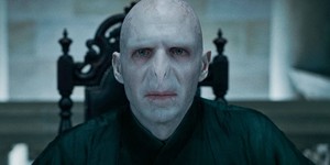 Фанаты Гарри Поттера готовят фильм про молодость Волдеморта Фанаты Гарри Поттера готовят фильм про молодость Волдеморта