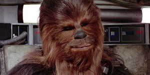 А вы знали про жену Чубакки?