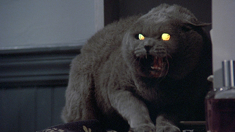 кадриз фильма "Кладбище домашних животных" (1989)