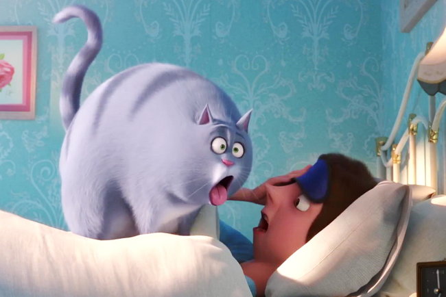 Кадр из мультфильма "Тайная жизнь домашних животных 2"