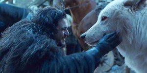 В сериале-ответвлении «Игры престолов» будут Старки