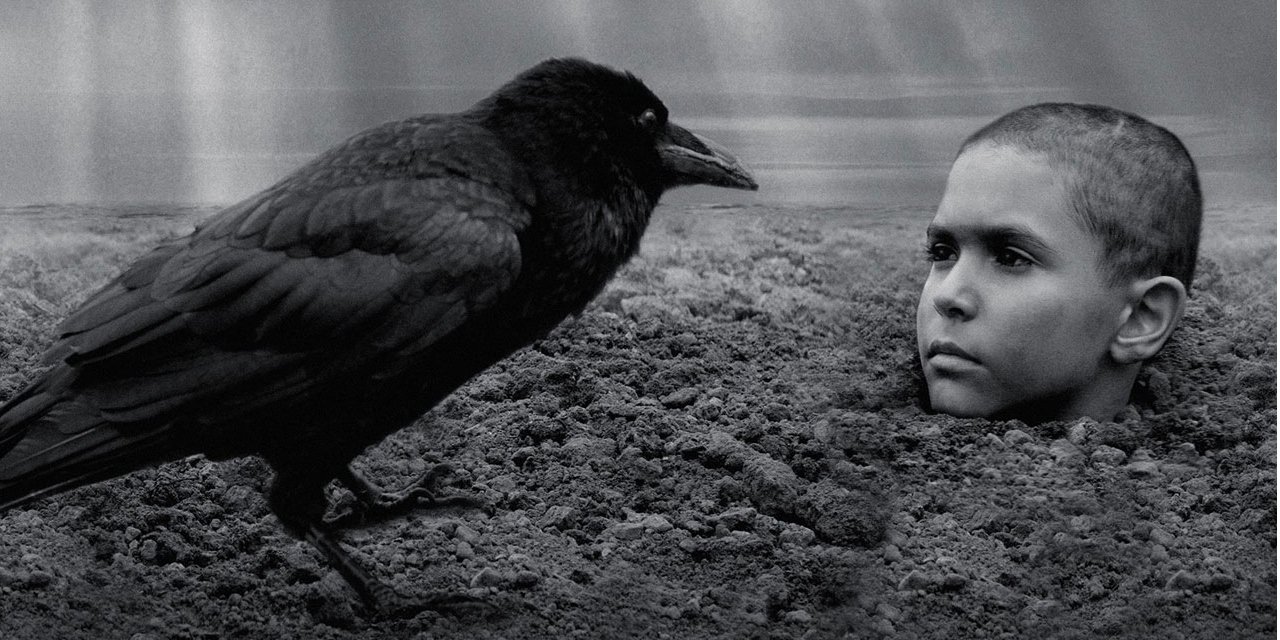 Кадр из фильма "Раскрашенная птица"